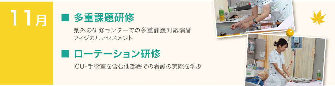 11月